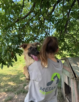 Amalia - ein verschmustes Welpenmädchen Bild 3