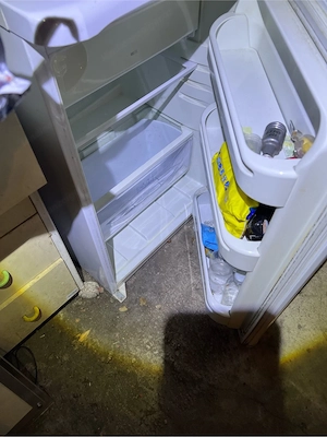 Kühlschrank Bild 3