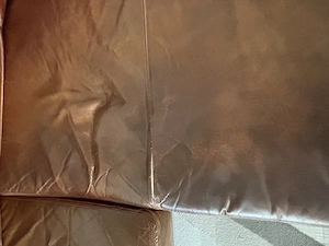Ledercouch, Büffelleder Bild 3