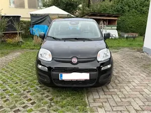 Fiat PANDA Icon Hybrid 70 PS   1.800 km - 06 2025 Bild 6