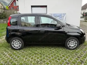 Fiat PANDA Icon Hybrid 70 PS   1.800 km - 06 2025 Bild 7