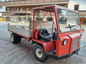 Aebi Transporter TP35 Bild 5