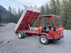 Aebi Transporter TP35 Bild 8