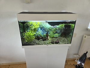 Aquarium Juwel 120 Liter Bild 2