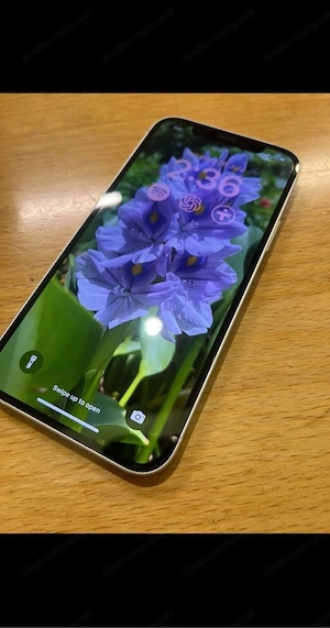 iPhone 12  Bild 3