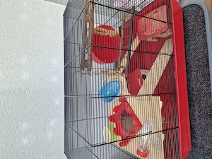 Hamsterkäfig mit Zubehör  Bild 3