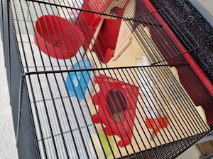 Hamsterkäfig mit Zubehör  Bild 2
