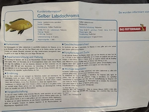Friedeberg Aquarium 200x60x70 cm 840 l mit Unterschrank FX6 mit Besatz Bild 5