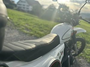 Mash 50 X Ride Moped Mofa Bild 4