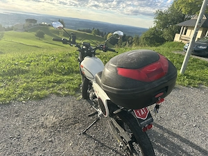 Mash 50 X Ride Moped Mofa Bild 3