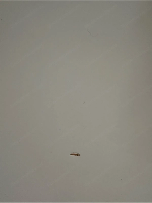 Ikea Schreibtisch  Bild 5