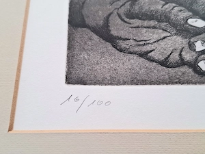 Radierung von Helmut Fetz | signiert und nummeriert Bild 3