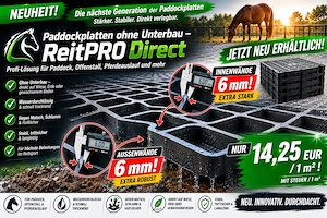 Paddockplatten & Rasengitter ohne Schotterunterbau kaufen ReitPRO Direct 40 - ideale Bodengitter Bild 2