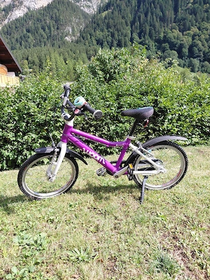 Woom 3 (16 Zoll) Bild 3