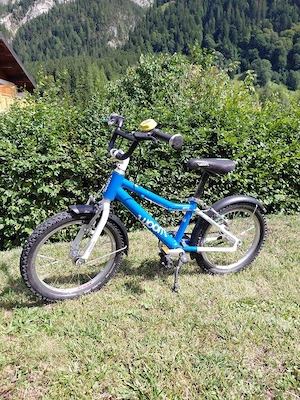 Woom 3 (16 Zoll) Bild 2