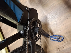 E- Bike  Focus 29 Zoll Bild 4