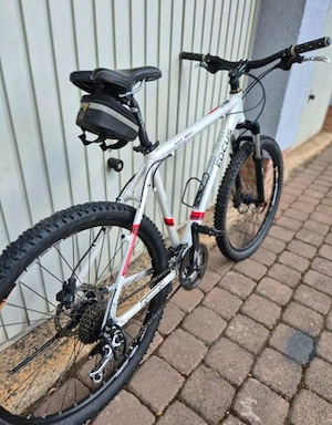 Focus 26 zoll MTB Bild 2