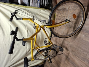 Buddy Bike  Tandem Rarität Bild 6