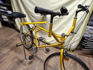 Buddy Bike  Tandem Rarität Bild 8
