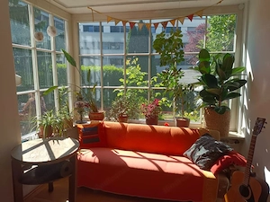Zimmer in gemütlicher Haus-WG in Dornbirn Bild 2