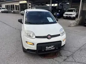 Fiat Panda Bild 6