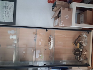 Glasvitrine (ohne Inhalt)