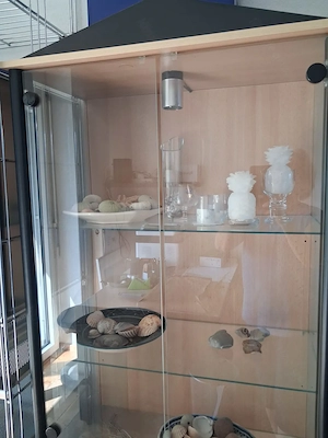 Glasvitrine (ohne Inhalt) Bild 2