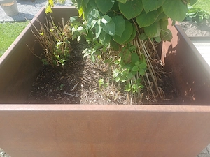 Hochbeet aus Eisen  Bild 2