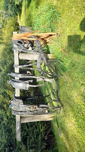 Westernsattel für Haflinger und div. Kutschenzubehör Bild 4