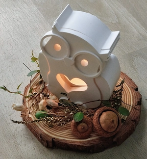 Deko Eule auf Holz neu