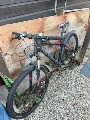 Focus Whistler Hardtail Mountainbike (29 Zoll) Bild 2