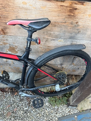 Focus Whistler Hardtail Mountainbike (29 Zoll) Bild 3