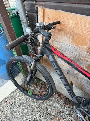 Focus Whistler Hardtail Mountainbike (29 Zoll) Bild 4