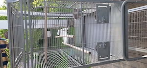 Vogelkäfig gebraucht für Großsittiche (Nymphensittich, Kleinaras,....) Bild 3