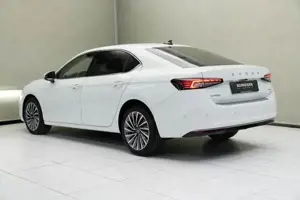 Skoda Superb 2.0 TDI LK 4x4 elSitz Bel.Sitz PDC ACC Bild 10