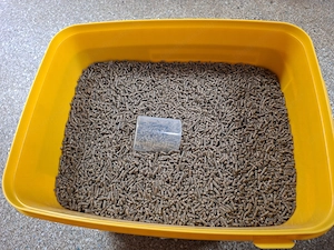 Marstall FORCE Mineralfutter Bild 3