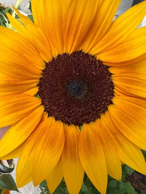 Meditative Energie Massage  Bild 5