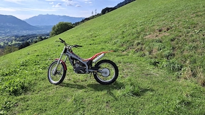 Beta REV 50 (EVO 50) Kinder - Jugend Trail Bild 6