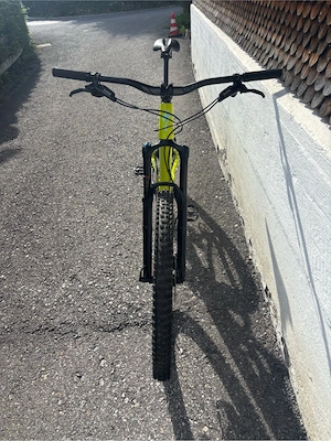 Specialized Stumpjumper Downhill MTB Bild 3