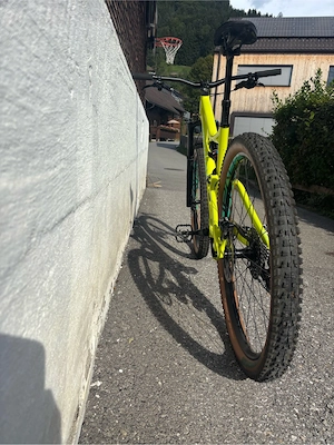 Specialized Stumpjumper Downhill MTB Bild 2
