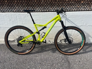 Specialized Stumpjumper Downhill MTB Bild 6