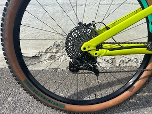 Specialized Stumpjumper Downhill MTB Bild 7