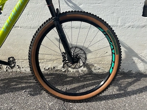 Specialized Stumpjumper Downhill MTB Bild 5