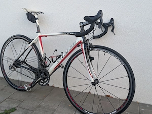 Specialized Tarmac Carbon-Rennrad   Gr. 52   Top Campagnolo