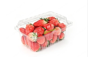 Envases Clamshell de PET para Berries y Frutas Frescas Bild 5