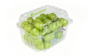 Envases Clamshell de PET para Berries y Frutas Frescas Bild 4
