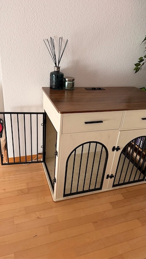 Hundebox 2 Stück  Bild 4