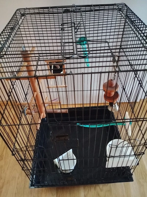 Vogelkäfig - Vogelhaus  Bild 3