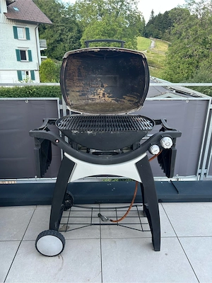 Weber Gasgrill Bild 3