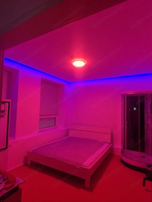 Zimmer vermieten- suchen Girls  Bild 4